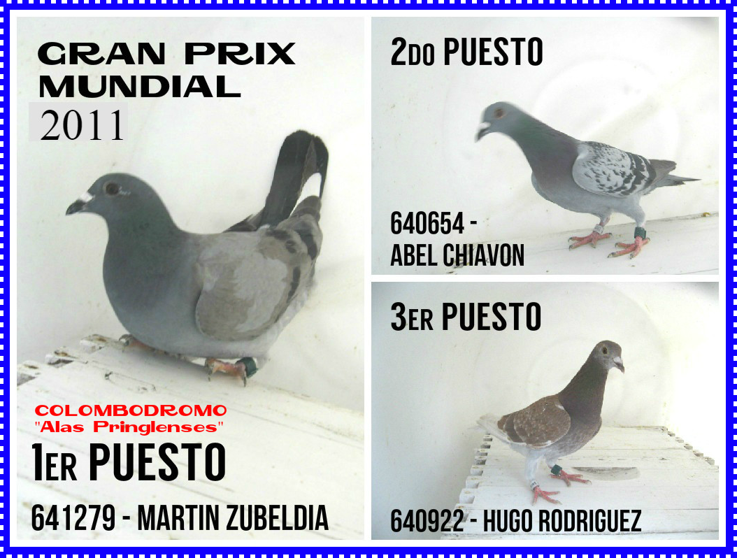 gprix2011